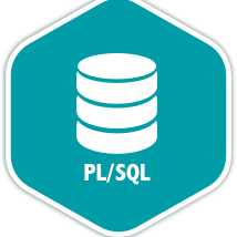 SQL / PL SQL 